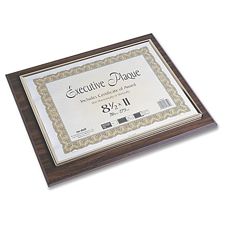 Nu-Dell Insertable Executive Award Plaque - 13" x 10.50" Frame Size - Holds 11" x 8.50" Insert - Horizontal, Vertical - 1 Each - Gold, Gold