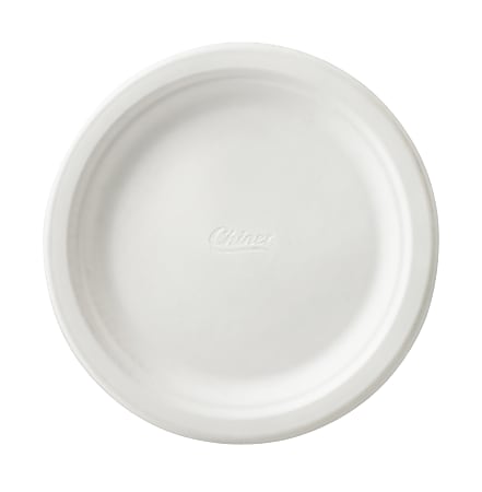 Are Paper Plates Recyclable & Eco-Friendly? Looking Behind The Paper