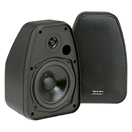 BIC® America 2-Way Indoor/Outdoor Speakers