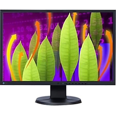 Eizo FlexScan EV2216WFS 22" Widescreen CCFL LCD Monitor, Black