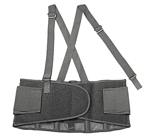 Ergodyne ProFlex 100 Economy Back Support Brace - 30" - 34" Waist Size - Black - 280D Spandex, Rubber, Polypropylene - 1 Each