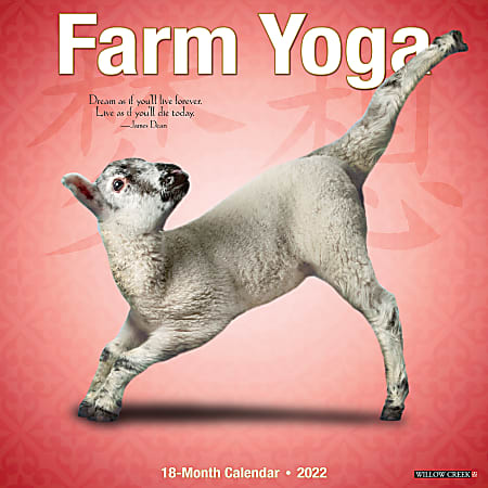 Willow Creek Press Animals Monthly Wall Calendar, 12" x 12", Farm Yoga, January to December 2022, 17906