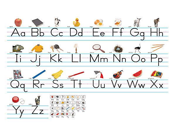 North Star Teacher Resources Photo Traditional Manuscript Alphabet Lines Bulletin Board Set, 7 5/8" X 14'