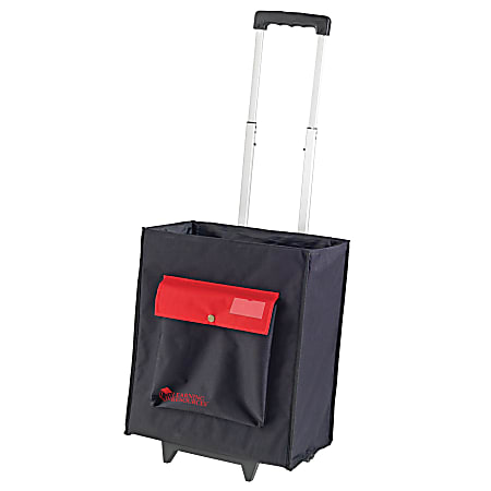 Learning Resources Nylon Organization Caddy With Telescoping Handle, 15"H x 17 1/2"W x 10"D, Black