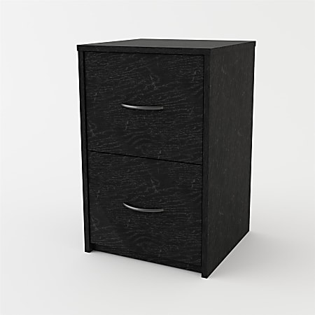 Ameriwood™ Home 15"D Vertical 2-Drawer File Cabinet, Black Ebony Ash