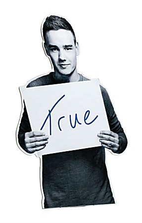 One Direction Limited Edition 1D + OD Together Study Buddy, Liam - True