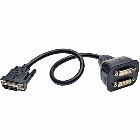 Tripp Lite DVI Dual-Link Splitter Cable, 1'