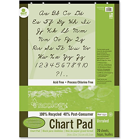 Ecology Chart Pad, 24" x 32", Unruled, Hole-Punched, Pad Of 70 Sheets