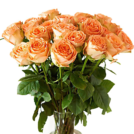 Rose Farmers Orange Citrus Long Stem Roses, Orange, Box Of 48 Roses