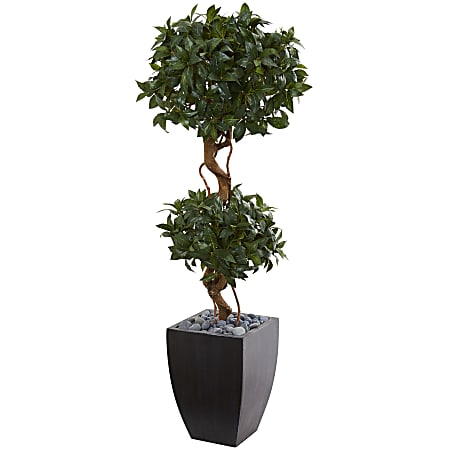 Nearly Natural 4-1/2'H Sweet Bay Artificial Double Topiary Tree With Planter, 54"H x 24"W x 24"D, Black/Green