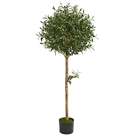 Nearly Natural Olive Topiary 60”H Artificial Tree With Pot, 60”H x 15”W x 15”D, Green