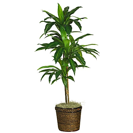 Nearly Natural Dracaena 48”H Silk Real Touch Plant With Basket, 48”H x 22”W x 22”D, Green