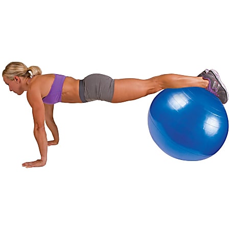 Gofit pro stability ball 2025