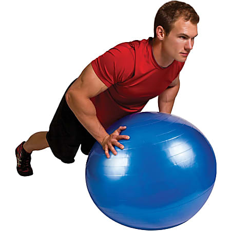 Gofit stability ball shop