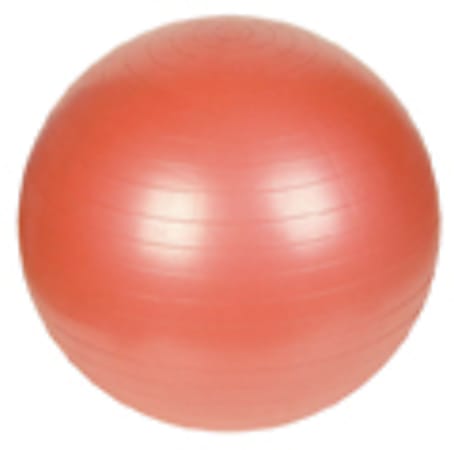 Sunny NO 055 Anti-Burst Gym Ball-55