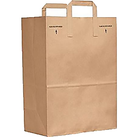 Duro Bag Novolex™ Paper Shopping Bags With Handles, 17"H x 12"W x 7"D, Kraft, Carton Of 300
