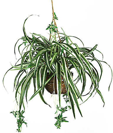 Nearly Natural 27" Silk Hanging Spider Plant With Basket
