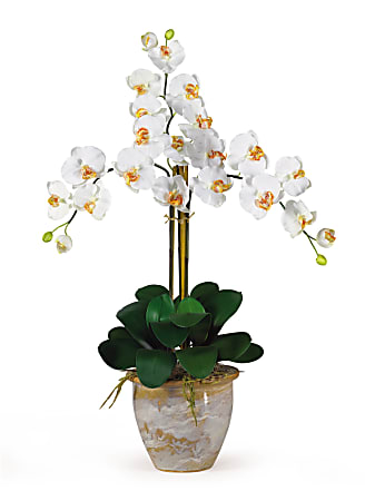 Nearly Natural 27" Triple Stem Orchid With Vase, Cream