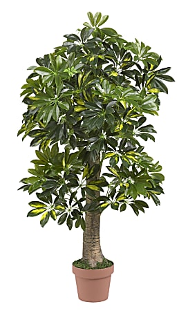 Nearly Natural 4' Schefflera Tree, Green