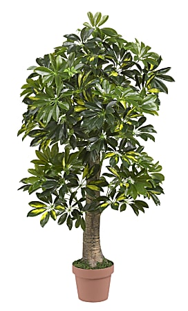 Nearly Natural 4 Schefflera Tree Green - ODP Business Solutions
