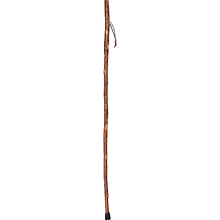 Brazos Walking Sticks™ Free Form Hickory Walking Stick, 55"