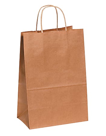Partners Brand Paper Shopping Bags, 13"H x 10"W x 5"D, Kraft, Case Of 250