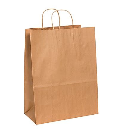 Partners Brand Paper Shopping Bags, 17"H x 13"W x 7"D, Kraft, Case Of 250