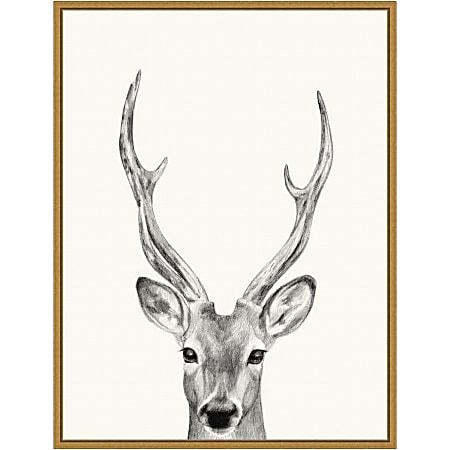 Amanti Art Animal Mug IV Deer by Victoria Borges Framed Canvas Wall Art Print, 24”H x 18”W, Gold