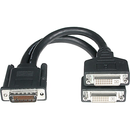 C2G 9in One LFH 59 DMS 59 Male to Two DVI I Female Cable DMS 59