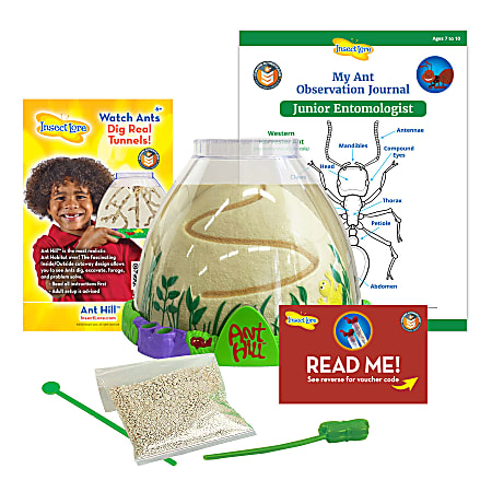 Insect Lore Ant Hill Ant Habitat, Multicolor