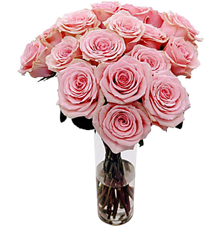 Rose Farmers Pink Passion Long Stem Roses, Pink,