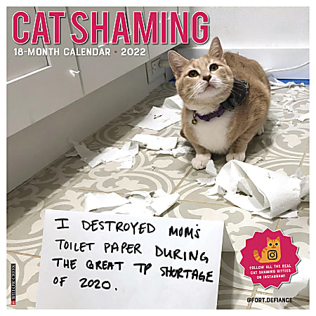 Willow Creek Press Animals Monthly Wall Calendar, 12" x 12", Cat Shaming, January to December 2022, 17333