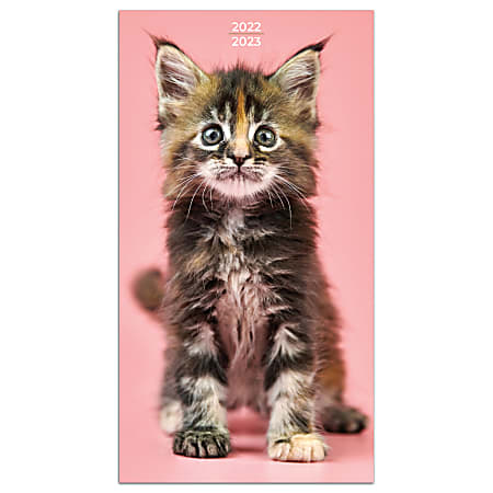 TF Publishing 2-Year Monthly Pocket Planner, 3-1/2" x 6-1/2", Kittens, January 2022 To December 2023