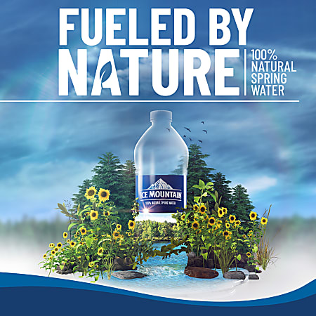 Ice Mountain 100% Natural Spring Water 20oz Bottle - Refreshing