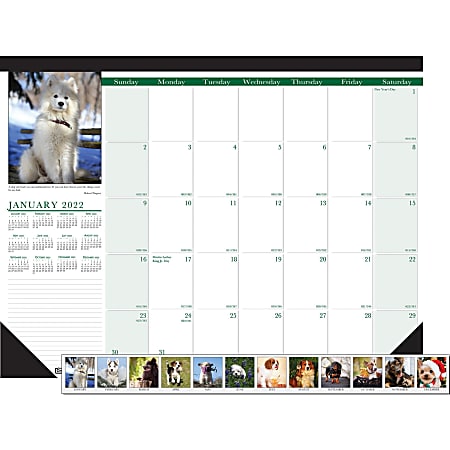 House of Doolittle Earthscapes Puppies Photo Desk Pad - Julian Dates - Monthly - 1 Year - January 2022 till December 2022 - 1 Day Single Page Layout - 22" x 17" Sheet Size - 2.88" x 2.25" Block - Desk Pad - White - Leatherette, Paper - 1 Each