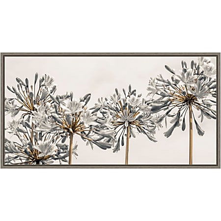 Amanti Art African Lily Flowers II by Assaf Frank Framed Canvas Wall Art Print, 14”H x 27”W, Graywash