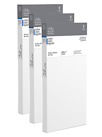Winsor & Newton Professional Cotton-Stretched Traditional Canvases, 6" x 12", White, Pack Of 2