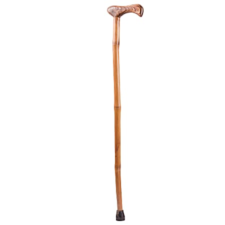 Brazos Walking Sticks™ Free Form Iron Bamboo Walking Cane, 40", Red
