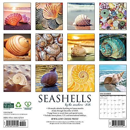 2026 Willow Creek Press Art Design Monthly Wall Calendar 12 x 12 ...