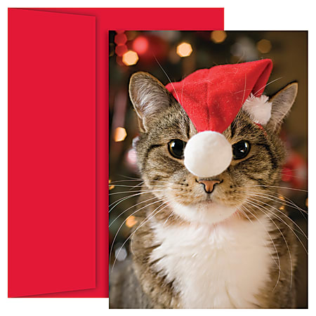 Great Papers! Holiday Greeting Cards, 5 5/8" x 7 7/8", Festive Cat, Pack Of 18