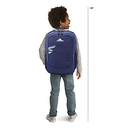 High sierra cosmos on sale backpack