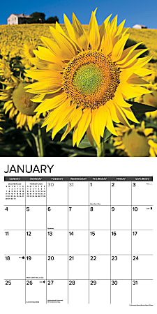2026 Willow Creek Press Art Design Monthly Wall Calendar 12 x 12 ...