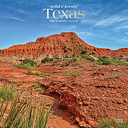 Brown Trout Monthly Regional Wall Calendar, 24" x 12", Wild & Scenic Texas, January to December 2022, 9781975439620