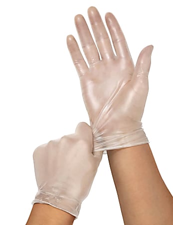 Clear Touch Powder Free Vinyl Multipurpose Gloves X Large Clear 130 ...