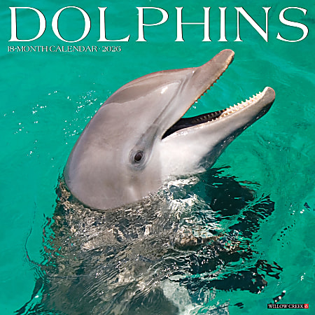 2026 Willow Creek Press Animals Monthly Wall Calendar, 12" x 12", Dolphins, January To December, 55403