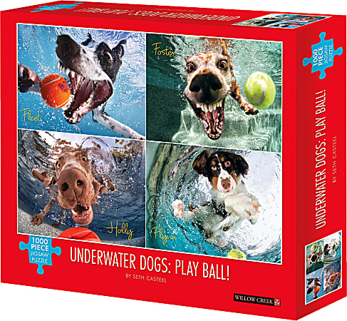 Willow Creek Press 1,000-Piece Puzzle, Underwater Dogs: Play Ball!