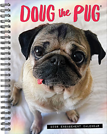 2026 Willow Creek Press Weekly Engagement Calendar, 6-1/2" x 8-1/2", Doug The Pug, January To December, 54642
