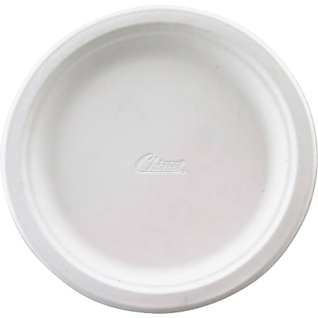 Sturdy paper plates clearance