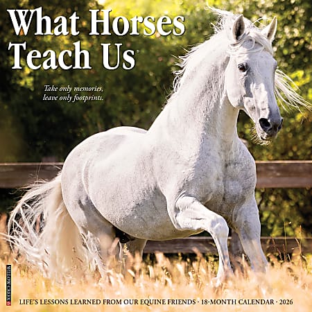2026 Willow Creek Press Animals Monthly Wall Calendar, 12" x 12", What Horses Teach Us, January To December, 53195