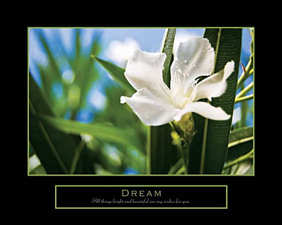 Crystal Art Gallery Motivational Print On Canvas, Dream, 16"H x 20"W, Green/White
